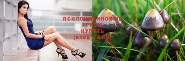 кокс Арсеньев