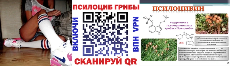маркетплейс Telegram  Медынь  Псилоцибиновые грибы Psilocybine cubensis  закладка 